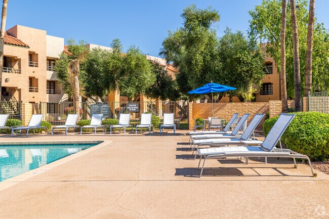 Piscina Este - Olive Tree