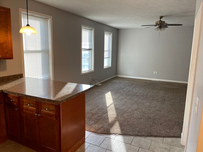 Kitchen & LR - 105 Bluff St