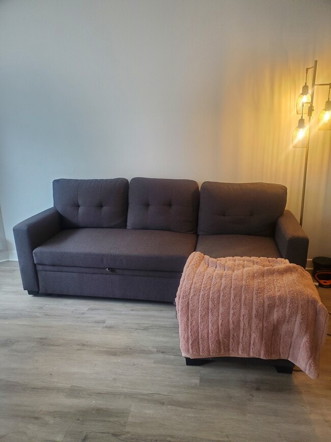 Living Room Sofa - 535 N Michigan Ave