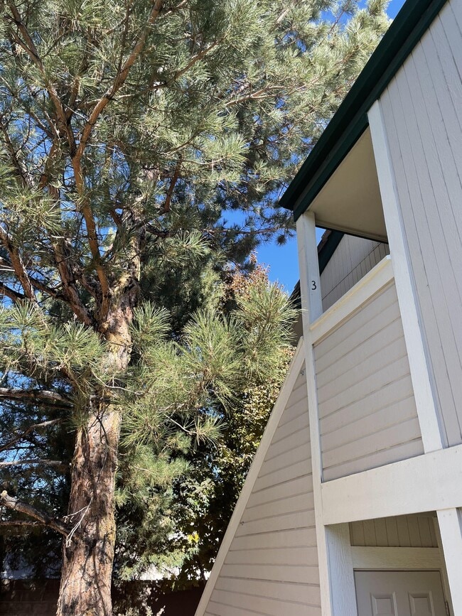 Building Photo - 2667 Sycamore Glen Dr