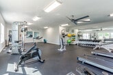 Located at 1410 Hartman Pl in Manhattan, Kansas, this dedicated fitness center offers a comprehensive workout environment within a single, open-plan floor. The space is finished with durable rubber tile flooring throughout, providing a safe and functional surface ideal for a wide range of exercise activities.

Natural light flows generously through multiple windows along the walls, creating a bright and inviting atmosphere complemented by overhead fluorescent lighting. Ceiling fans help maintain a comfortable environment during workouts. A large wall mirror expands the sense of space and allows users to monitor their form.

The cardio section is well-appointed with multiple True-brand treadmills and an elliptical machine, along with a rowing machine and a stationary spin bike. Strength training is thoroughly covered with a cable cross machine, a multi-functional weight station, an adjustable weight bench, and a full rack of dumbbells spanning a wide range of weights. Medicine balls and resistance bands round out the functional fitness offerings.

A wall-mounted television provides entertainment during workouts. The facility offers ample open floor space for stretching, bodyweight exercises, or group training. Clean, neutral-toned walls and abundant natural light contribute to a motivating and welcoming atmosphere suited for all fitness levels.