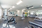 Located at 1410 Hartman Pl in Manhattan, Kansas, this dedicated fitness center offers a comprehensive workout environment within a single, open-plan floor. The space is finished with durable rubber tile flooring throughout, providing a safe and functional surface ideal for a wide range of exercise activities.

Natural light flows generously through multiple windows along the walls, creating a bright and inviting atmosphere complemented by overhead fluorescent lighting. Ceiling fans help maintain a comfortable environment during workouts. A large wall mirror expands the sense of space and allows users to monitor their form.

The cardio section is well-appointed with multiple True-brand treadmills and an elliptical machine, along with a rowing machine and a stationary spin bike. Strength training is thoroughly covered with a cable cross machine, a multi-functional weight station, an adjustable weight bench, and a full rack of dumbbells spanning a wide range of weights. Medicine balls and resistance bands round out the functional fitness offerings.

A wall-mounted television provides entertainment during workouts. The facility offers ample open floor space for stretching, bodyweight exercises, or group training. Clean, neutral-toned walls and abundant natural light contribute to a motivating and welcoming atmosphere suited for all fitness levels.