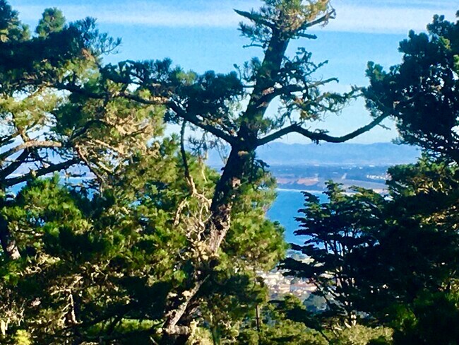 Ocean and city lights view Monterey Bay - 39 Shepherds