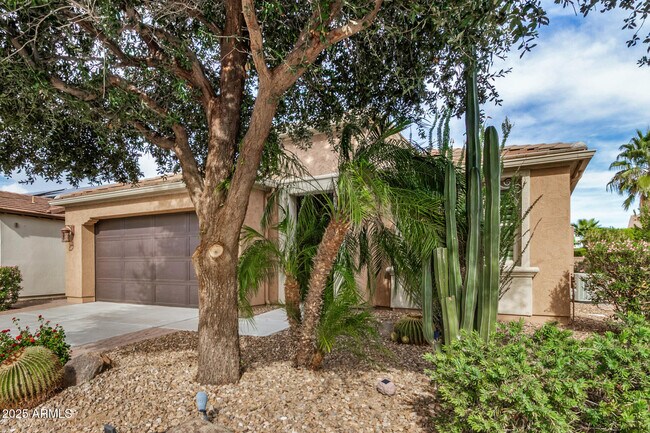 Foto del edificio - 856 E Harmony Wy