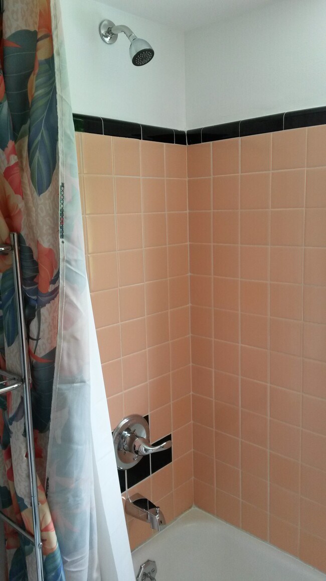 Baño - 21865 Coolidge Highway