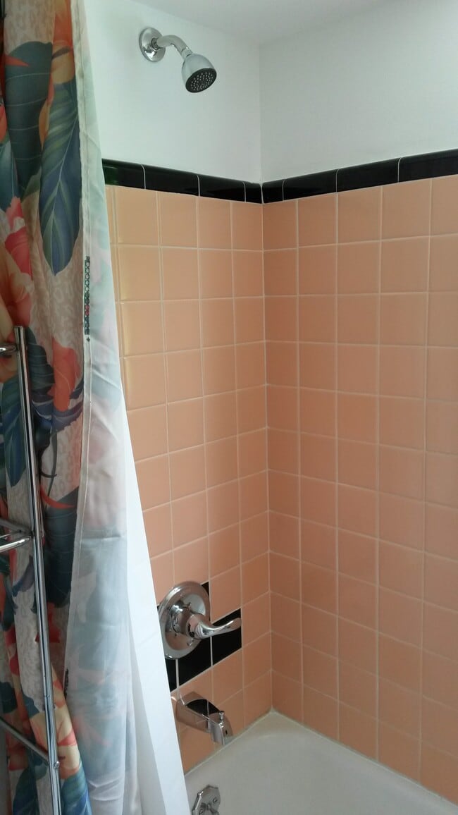 Bathroom - 21865 Coolidge Highway