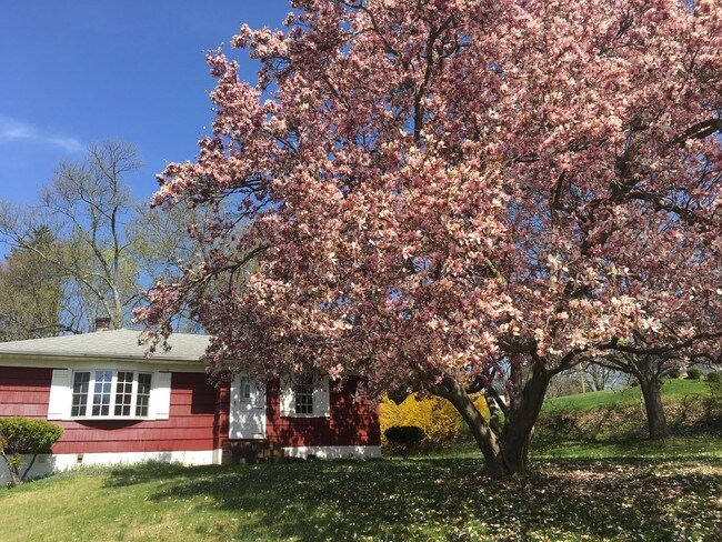 Building Photo - 220 Wilbur Blvd