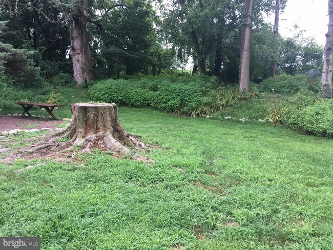 Building Photo - 438 Stoneybrook Rd