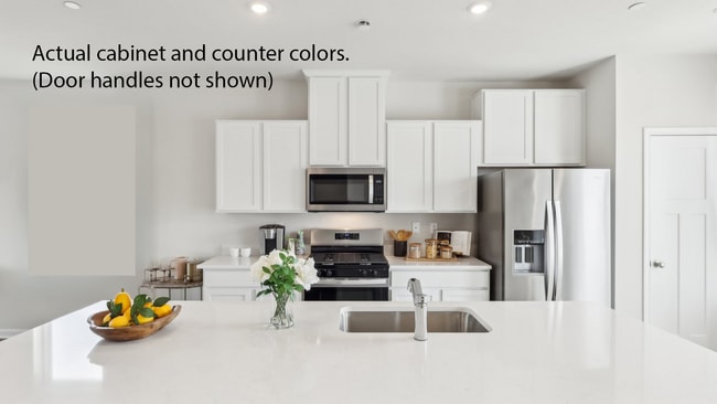 Building Photo - 764 Olivia St