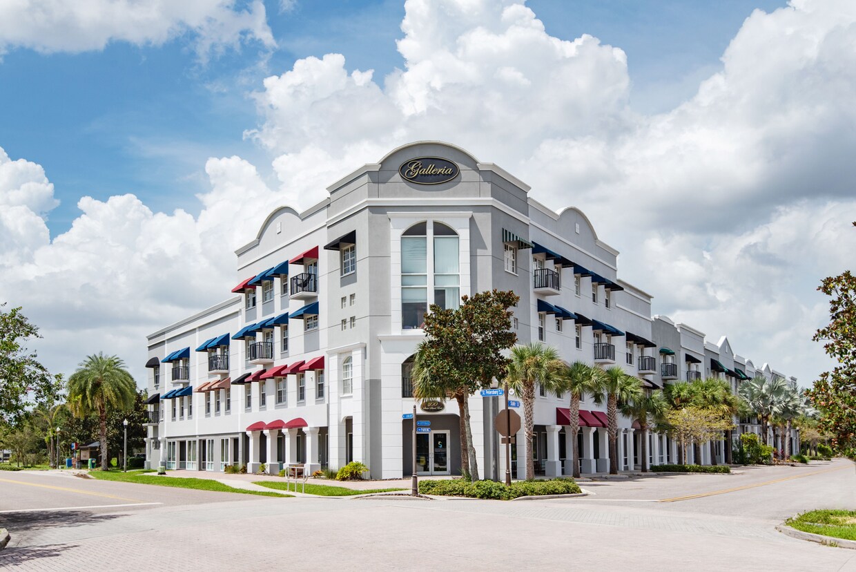 Primary Photo - Galleria Oldsmar