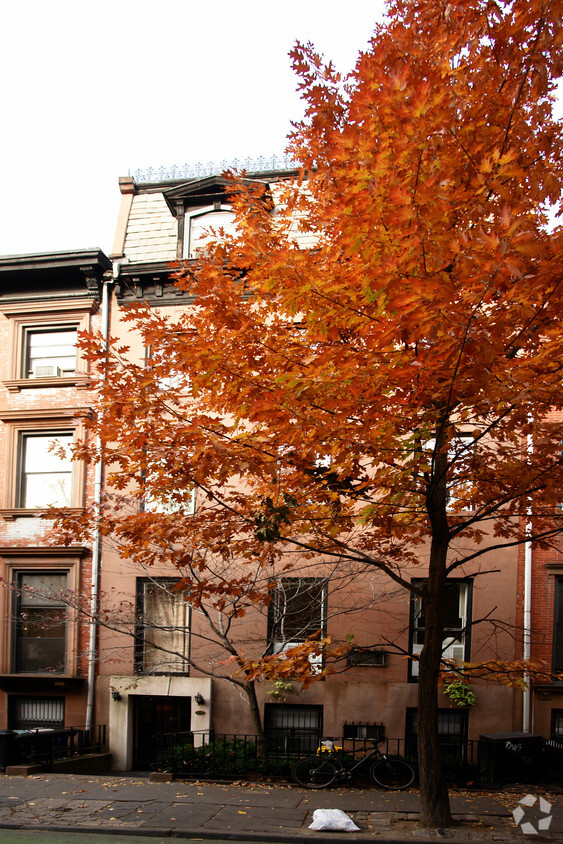 Building Photo - 250 Henry St