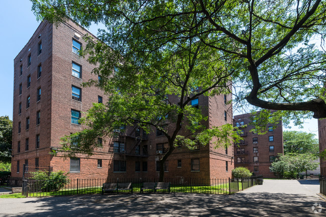 Studio Apartments In Flatbush Brooklyn