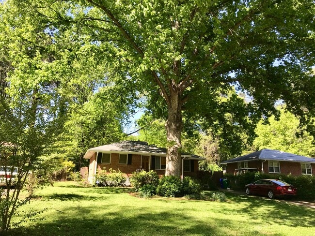 Building Photo - 4232 Timber Valley Ct