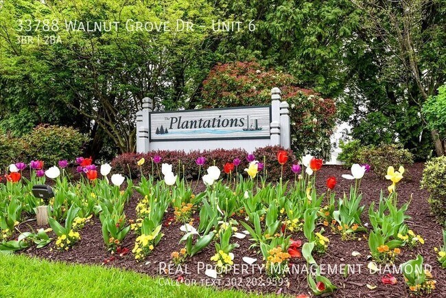 Foto del edificio - 33788 Walnut Grove Dr