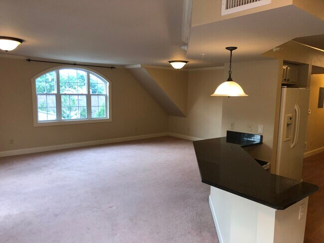 Living Room - 81 S Williams St