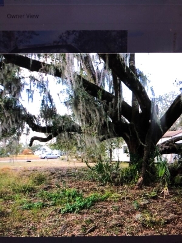 801 Florida Ave, Fort Meade, FL 33841 House Rental in Fort Meade, FL