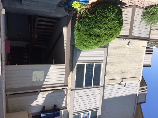 Primary Photo - Beautiful Condo in Plum Creek