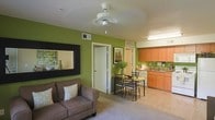 This single-floor space is designed with an open-concept layout that effortlessly connects the living, dining, and kitchen areas into one unified environment. The most striking feature is the bold green accent wall that runs throughout the main living area, adding a vibrant and energizing pop of color to the interior. A ceiling fan overhead provides both function and a focal point to the living space, which is anchored by comfortable seating and accented with a large decorative mirror framed in black, adding depth and visual interest to the room. The dining area sits centrally within the space, furnished with a dark metal table and chairs that complement the contemporary aesthetic. The kitchen is positioned in an open, accessible corner, featuring warm wood-toned cabinetry, tile countertops, and essential appliances, all tied together with a matching green backsplash that echoes the accent wall. Light tile flooring runs through the kitchen and dining zones, while the living area features soft carpeting. Natural and artificial lighting keep the space well-lit throughout, creating a welcoming and functional atmosphere. The overall design balances color, practicality, and an open flow that makes the space feel inviting and efficiently utilized.