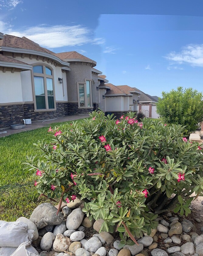 Foto principal - 929 Richland Dr