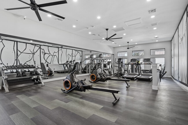 Gym Cardio Floor - Cornerstone Park