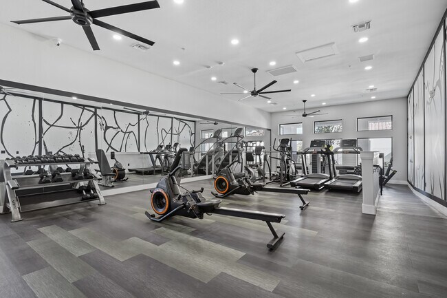 Gym Cardio Floor - Cornerstone Park