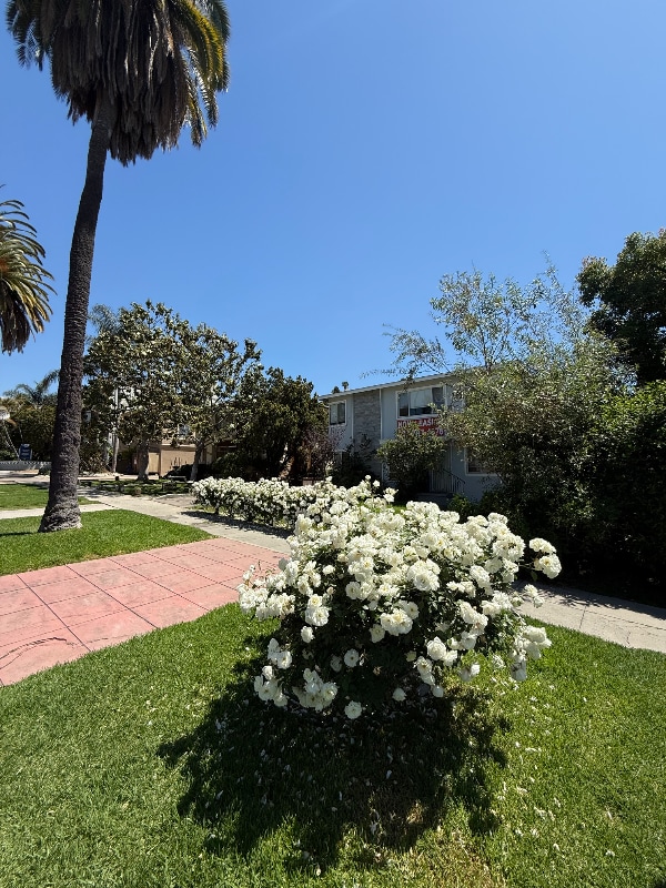 Foto del edificio - 2140 Beachwood Dr