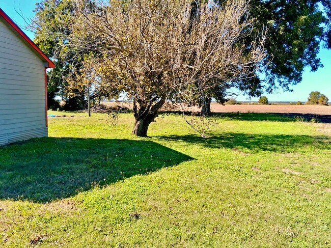 Foto del edificio - 201 West Ave N