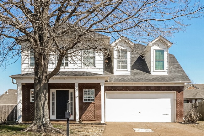 Building Photo - 3926 August Moon Cove