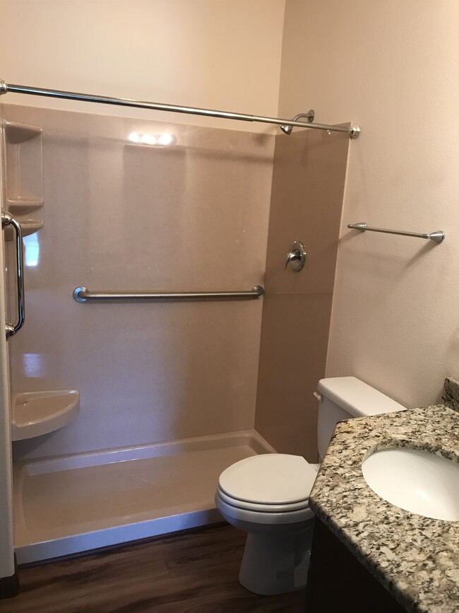 Walk-in Shower - 3202 Lakeview Rd