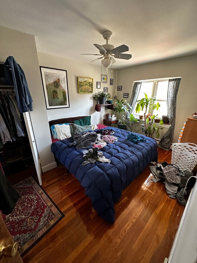 Foto del edificio - 61 Selkirk Rd