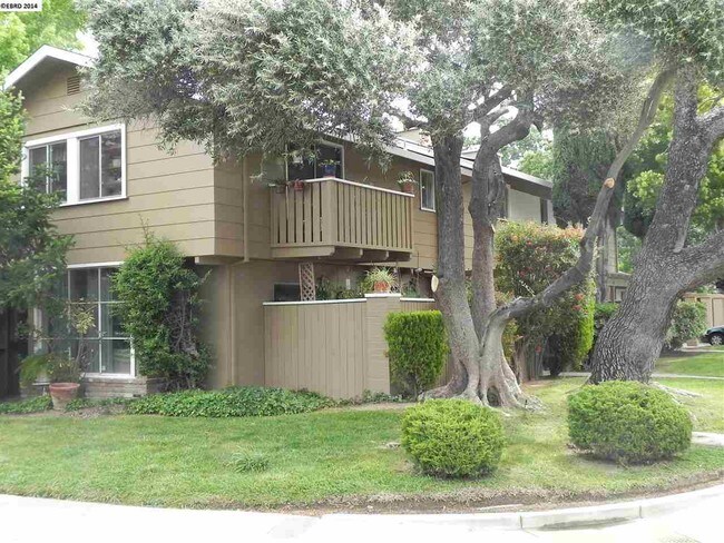 Building Photo - 601 Alamo Dr