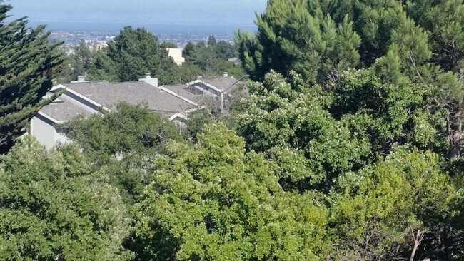 View from Loft - 1685 Bayridge Way