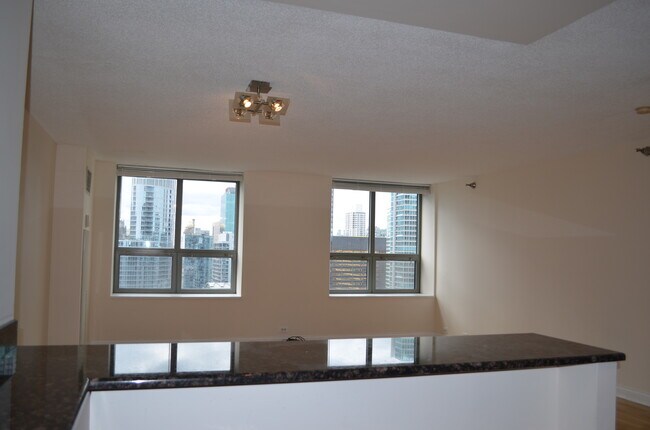 Building Photo - 474 N Lake Shore Dr