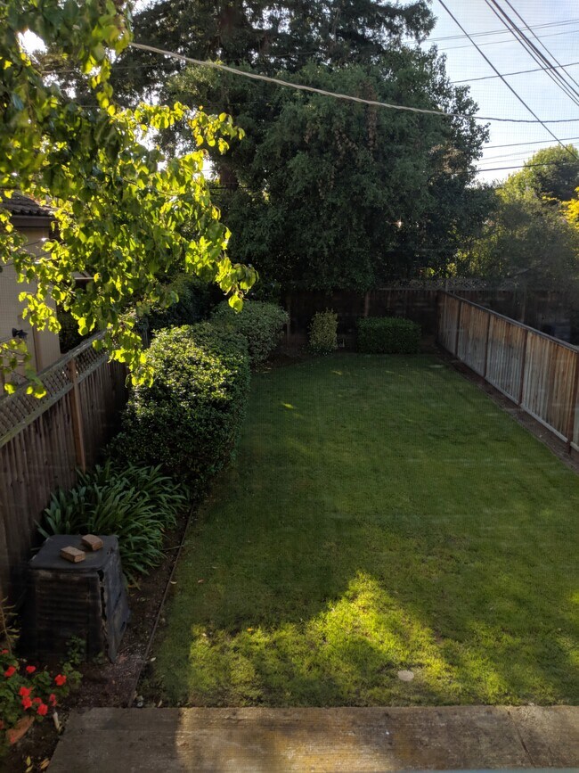 backyard - 525 S Murphy Ave