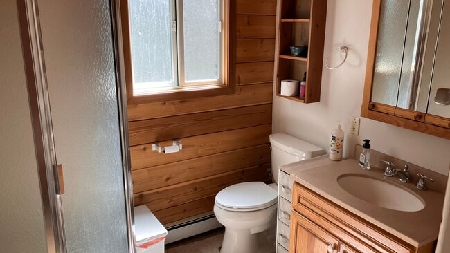 Building Photo - Furnished mountain cabin