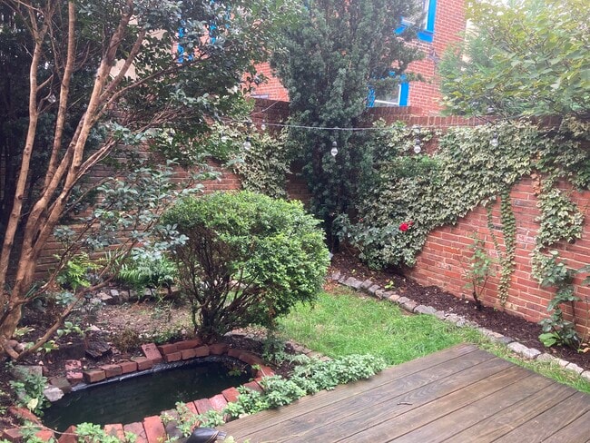 Backyard - 1038 N Leithgow St