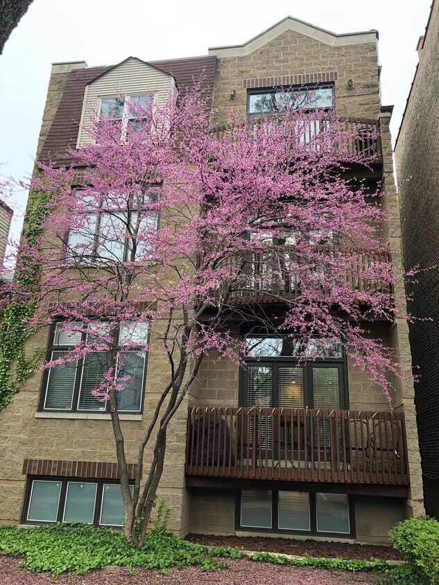 Street View - 1464 W Grace St