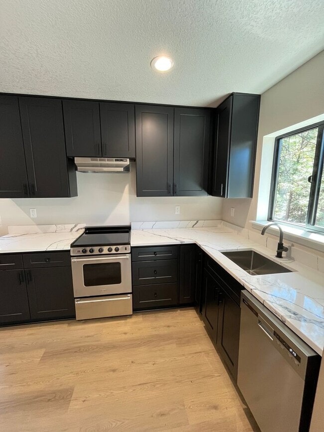 Building Photo - Spectacular BRAND NEW 1-bed/1-bath apartment with Mt Views! ***Utilities included!***