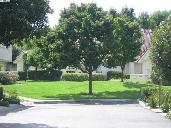 Building Photo - 11890 Flanagan Ct