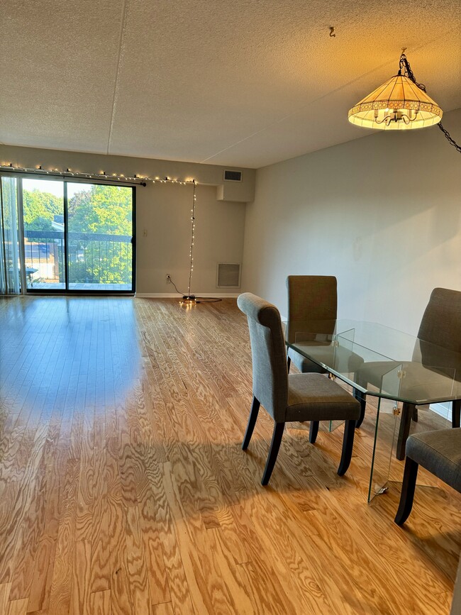 Living Room - 289 Elm St