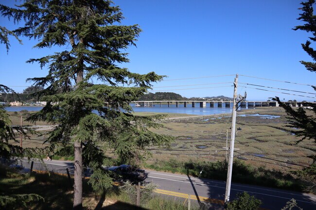 Foto del edificio - 203 Morning Sun Ave