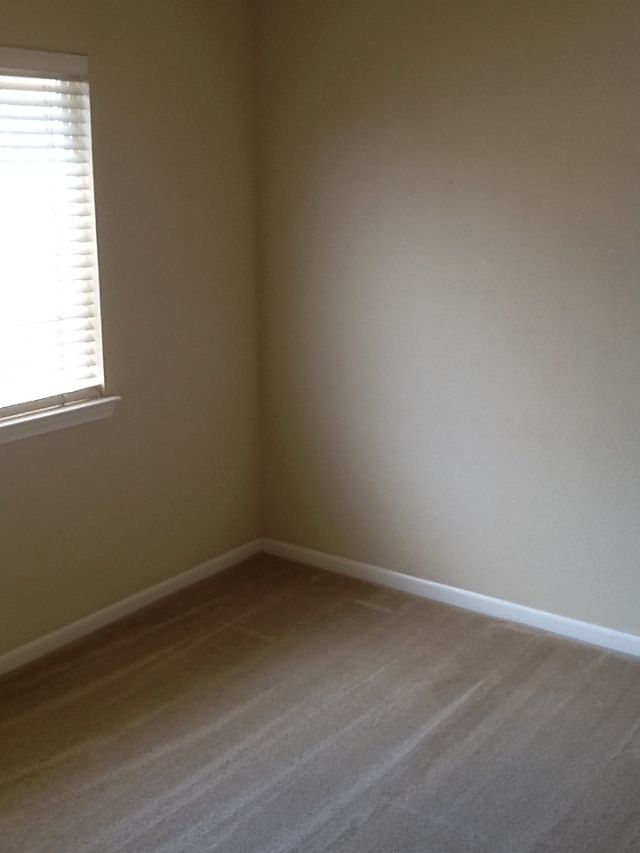 Building Photo - 247 Culbertson Ct