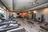 Located at 494 Monroe St in Macon, Georgia, this fitness center is a well-appointed, single-floor facility designed to support a comprehensive workout experience. The space features a tray ceiling with recessed lighting and ceiling fans, contributing to a comfortable and airy atmosphere throughout. Large windows along the exterior walls invite abundant natural light and offer views of the surrounding greenery, creating an energizing environment for exercise. A glass door provides direct access to an outdoor patio area, seamlessly connecting the interior to the outdoors. The cardio section is equipped with a row of treadmills and elliptical machines by TRUE Fitness, positioned to take advantage of the natural light from the windows. The strength training area is equally well-stocked, featuring cable machines, leg press and extension equipment, adjustable benches, a dumbbell rack, and a multi-station cable system. A bold orange accent wall adds a dynamic visual element to one end of the room, while floor-to-ceiling mirrors along one wall enhance the sense of space and allow users to monitor their form. The durable wood-look flooring and neutral wall tones create a clean, modern aesthetic throughout, making this fitness center a functional and inviting space for all levels of training.