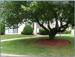 Setauket Knolls Garden Apartments photo'