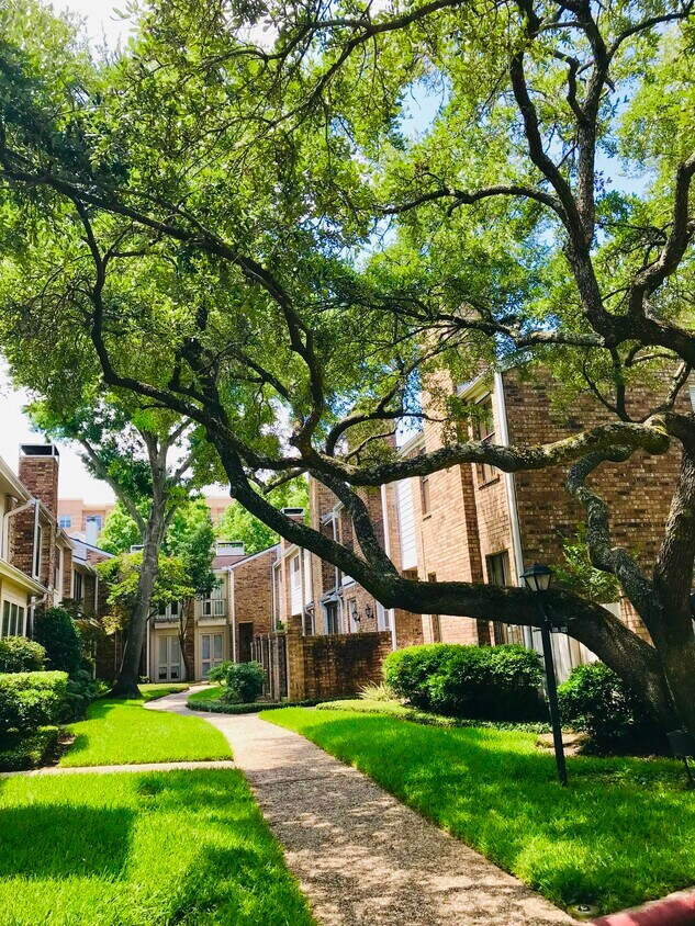 San Felipe Townhomes Apartments 14351557 Bering Dr Houston, TX