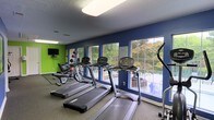 This fitness center offers a practical and energizing environment designed to support a well-rounded workout routine. The space is defined by its bold color scheme, featuring deep navy blue accent walls paired with a vibrant lime green wall, creating a dynamic and motivating atmosphere. Large multi-pane windows line the navy wall, flooding the room with natural light and providing pleasant views of lush outdoor greenery and what appears to be a pool area, making workouts feel more connected to the outdoors. The flooring is a durable, dark carpet suited for gym use. The cardio section is well-stocked with multiple treadmills and a stair climber, all positioned to take advantage of the garden views. Along the green accent wall, a dedicated strength and free weights area features a wall-mounted flat-screen TV, medicine balls, and additional fitness equipment, offering variety for users looking to diversify their training. The ceiling features a textured finish and integrated overhead lighting, ensuring the space is well-lit throughout. Overall, the fitness center strikes a balance between functionality and an inviting aesthetic, making it a comfortable and well-appointed space for daily exercise.