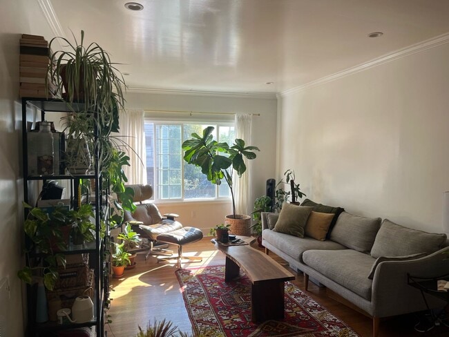 Building Photo - 1039 Channing