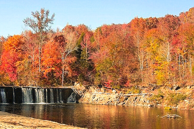 Disfruta de la hermosa Whittle's Mill Historic Park - Pinewood Forest Apartments