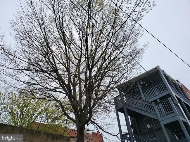 Foto del edificio - 2012 Mt Royal Terrace