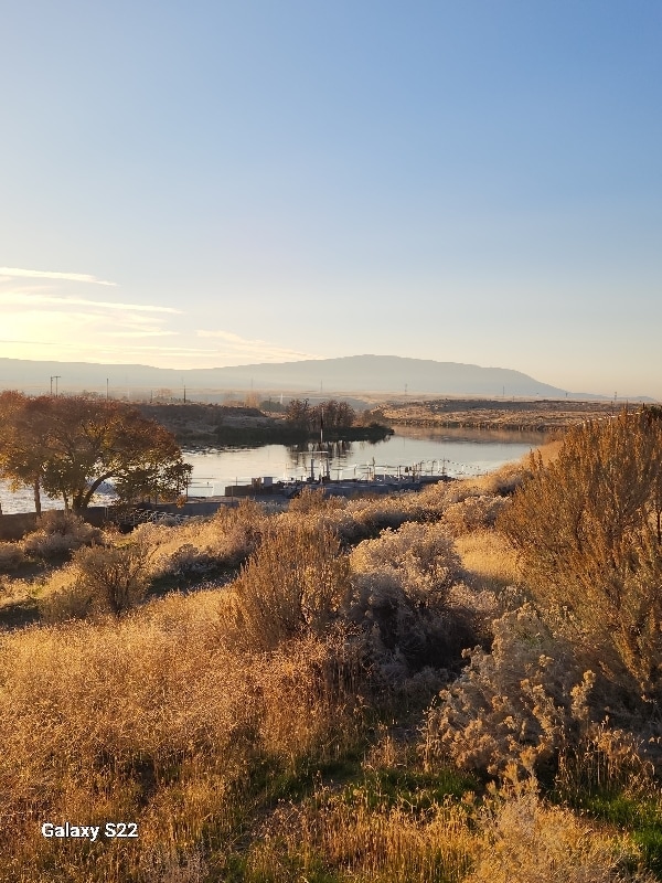 Foto del edificio - 710 Catskill St